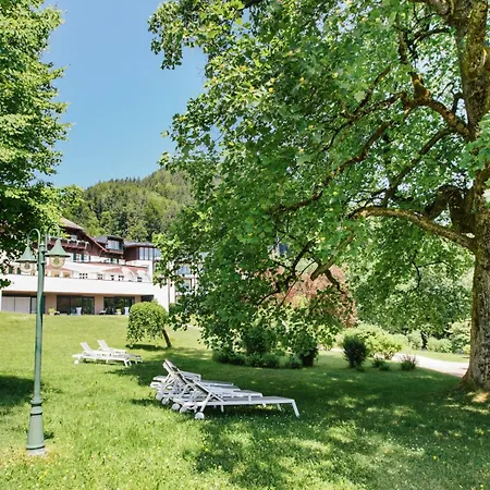 Hotel Seehotel Billroth