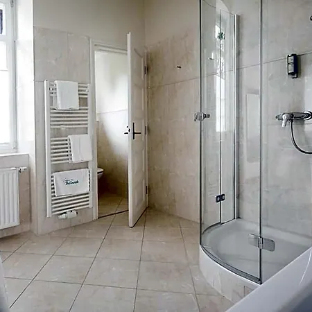 Отель Seehotel Billroth 4*