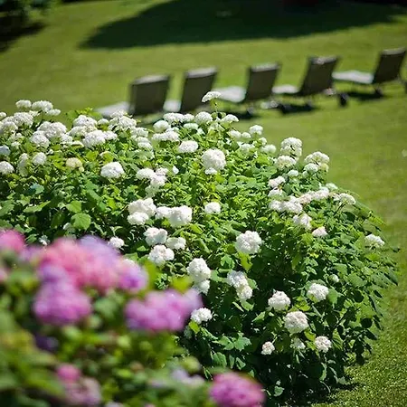 Seehotel Billroth 호텔 성길벤