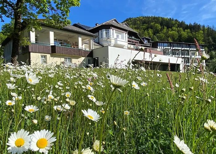 Hotell Seehotel Billroth 4*