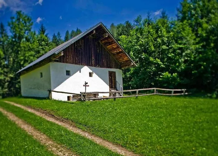 Seehotel Billroth Hotell 4*